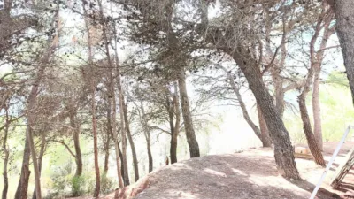 Rustic finca on Carretera de Alozaina, 1 photo 13