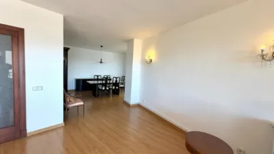 Apartment in La Teulera photo 8