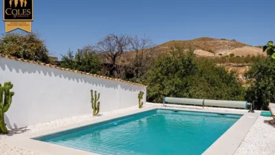 Rustic Finca on Calle Fuenblanquilla photo 6