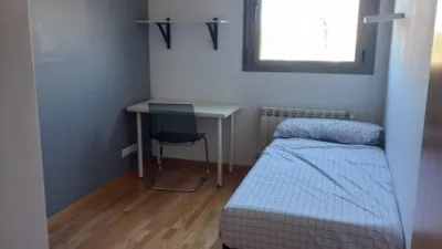 Miniatura 12