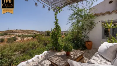 Rustic Finca on Calle Fuenblanquilla photo 10