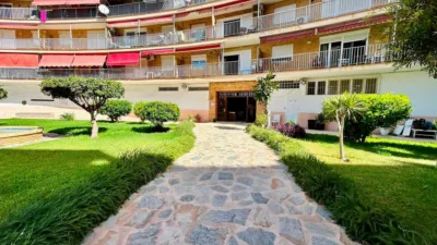 Apartment in Playa del Cura photo 23