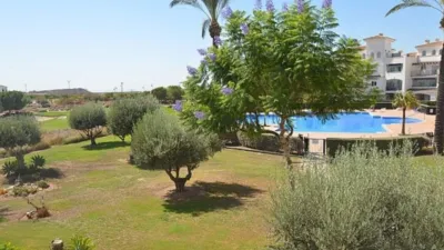 Apartment in Sucina photo 21