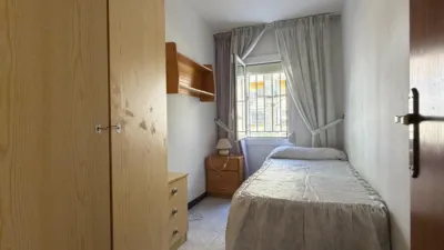 Apartment in Plana Lladó photo 15