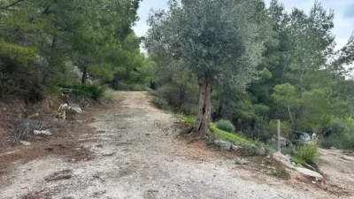 Rustic finca on Carretera de Alozaina, 1 photo 28