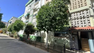 Apartment in Plaza de Francisco Muñoz Kirri photo 12