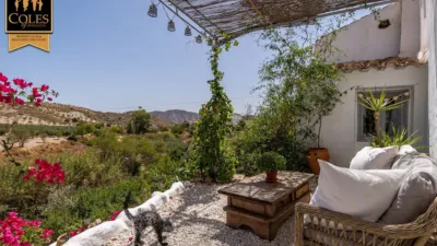 Rustic Finca on Calle Fuenblanquilla photo 9
