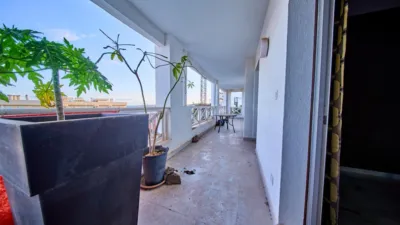 Apartment on Calle del Nogal photo 19
