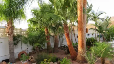 Chalet on Sidi Bel Abbes Street photo 10