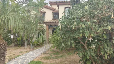 Chalet in Ardelejos - Cuesta de La Palma - Buenavista photo 4