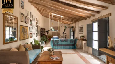 Rustic finca on Calle Cortijo Don Dionisio photo 25