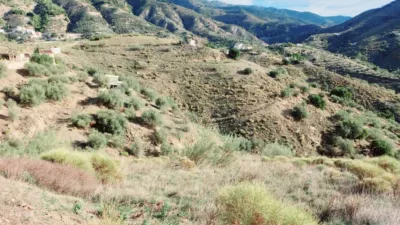 Rustic Finca in Canillas de Aceituno photo 22