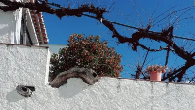 House in Canillas de Aceituno photo 52