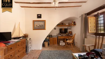 Rustic finca on Calle Cortijo Don Dionisio photo 27