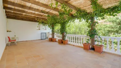 Chalet on Cupressus Street photo 13