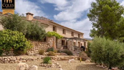 Rustic finca on Calle Cortijo Don Dionisio photo 12