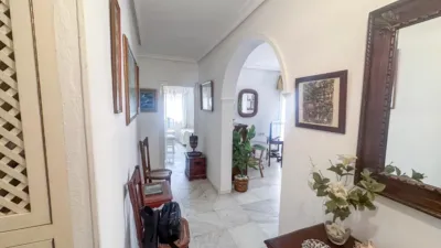 Apartment in Playa Victoria photo 8