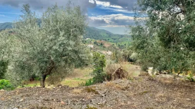 House in Arroyo Coche photo 7