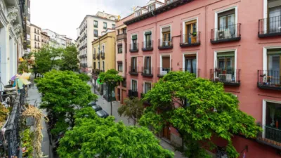 Apartment on Calle del Ave María photo 21