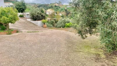 House in Arroyo Coche photo 9