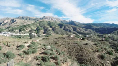 Rustic Finca in Canillas de Aceituno photo 17