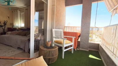 Apartment in Bahía photo 13