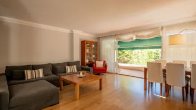 Ground Floor Apartment in Palmanova photo 16