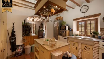 Rustic finca on Calle Cortijo Don Dionisio photo 18