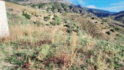 Rustic Finca in Canillas de Aceituno photo 15