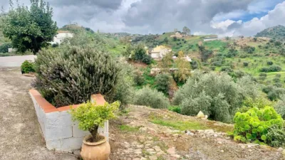 House in Arroyo Coche photo 8