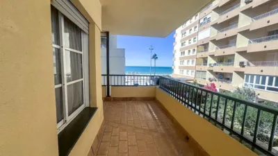 Apartment in Playa Victoria photo 4