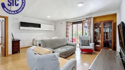 Apartment on Calle de Paco Pierra photo 5