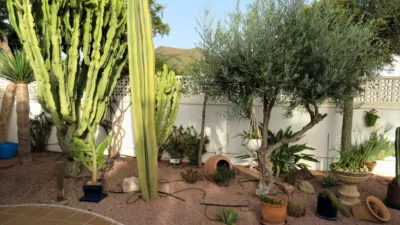 Chalet on Sidi Bel Abbes Street photo 30