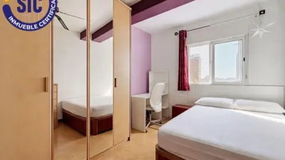 Apartment on Calle de Paco Pierra photo 19
