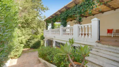 Chalet on Cupressus Street photo 12