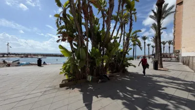 Apartment on Calle Moriones photo 63