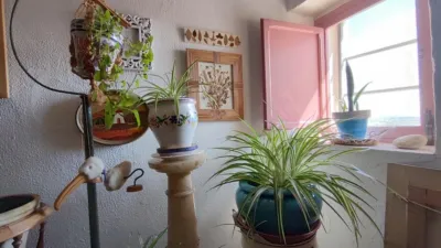 Casa - Más