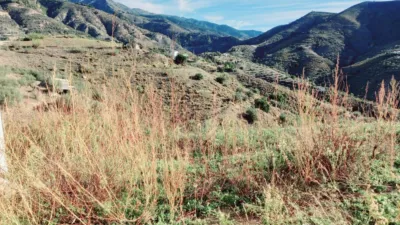 Rustic Finca in Canillas de Aceituno photo 28