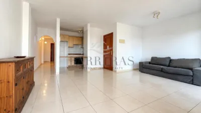 Apartment on Calle la Ballena photo 6