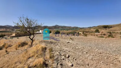 Rustic Finca in Morata photo 35