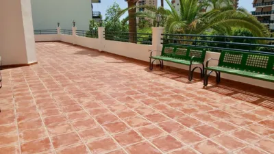 Apartment at Paseo de los Sauces, 4 photo 14