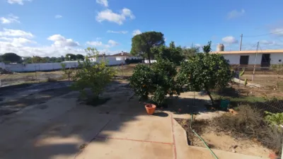 Finca rústica en Beas photo 3