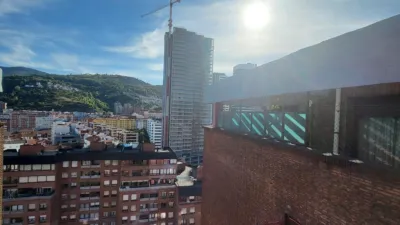 Top floor apartment on Juan Antonio Zunzunegui Etorbidea photo 17