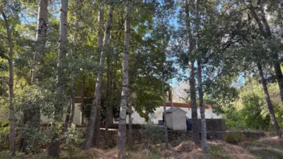 Chalet in Castilla La Mancha photo 3