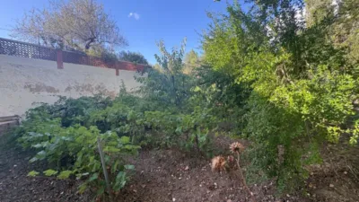 Chalet in Castilla La Mancha photo 14