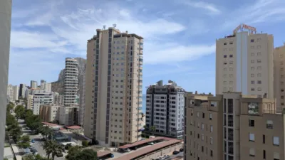 Apartment on Avd. Europa photo 15