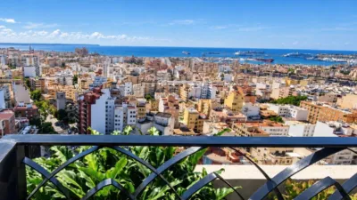 Apartment in El Forti photo 4
