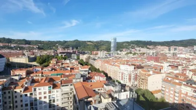 Top floor apartment on Juan Antonio Zunzunegui Etorbidea photo 4