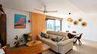 Apartment in Saladar photo 15