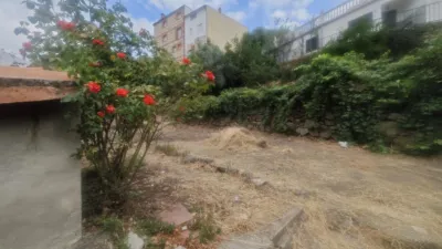 Chalet on Viñillas Street photo 19